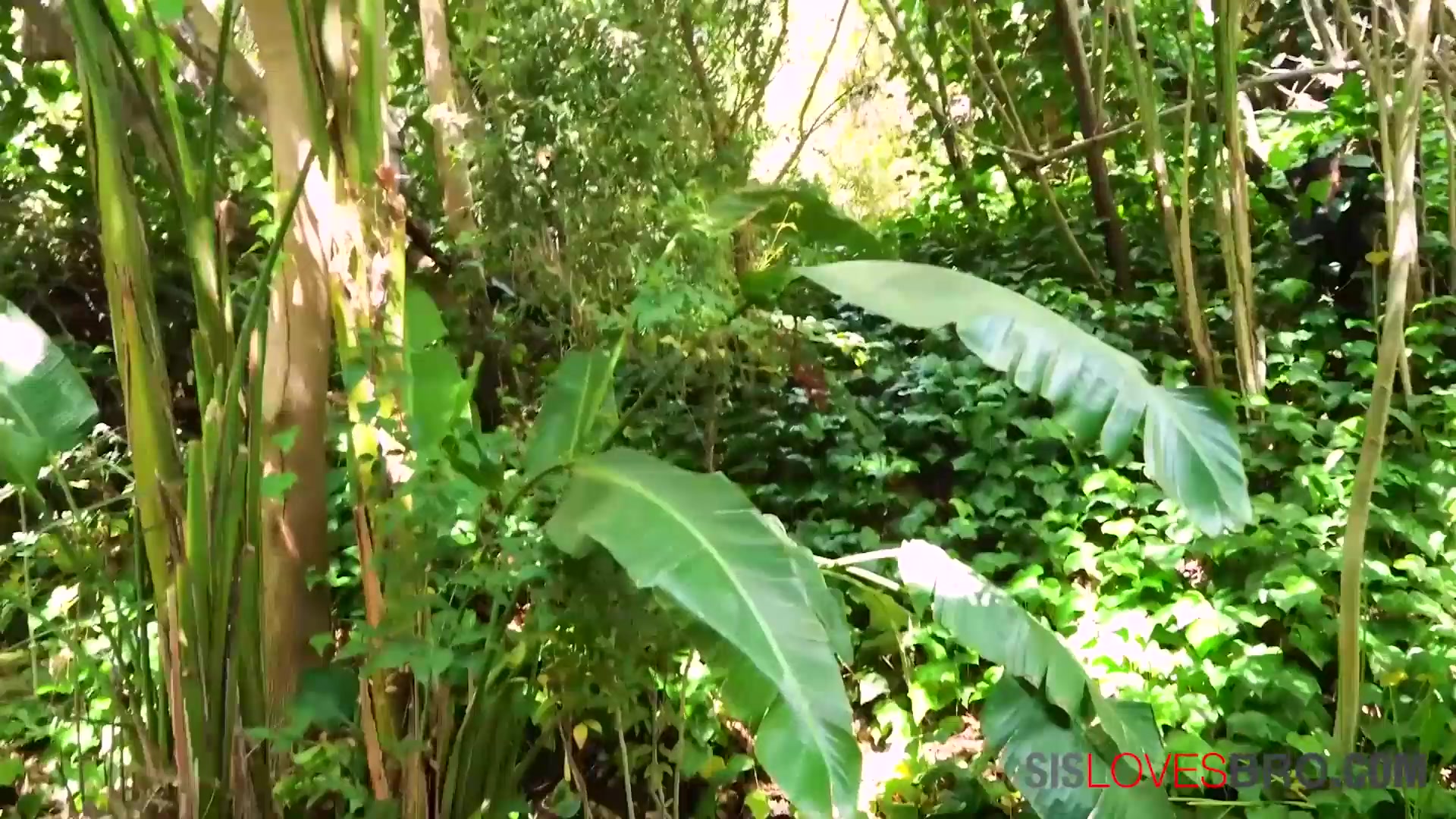 I will talk to step dad if you fuck me, – Harley Haze