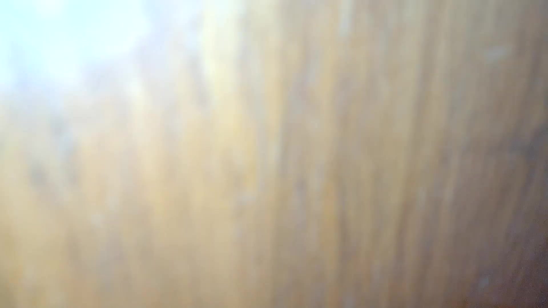 Mi hermana estaba limpiando mi habitacion y mi esposo la puso a mamar su polla, cuñada llena de semen