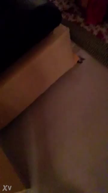 video 20170502 074023