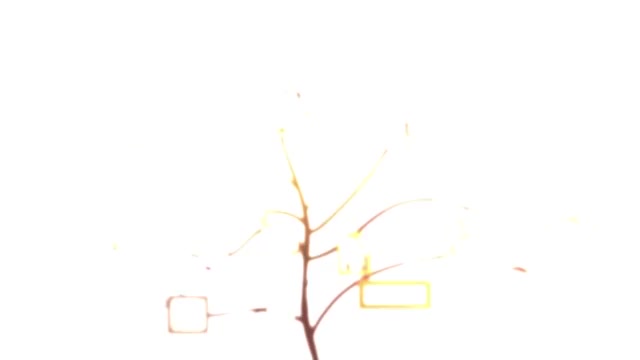 Slutty Sister Has A Crush On Her Stepbrother and Fucks His Taboo Cock