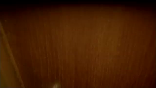 El regreso de mi cuñada (La tengo amarrada) 1