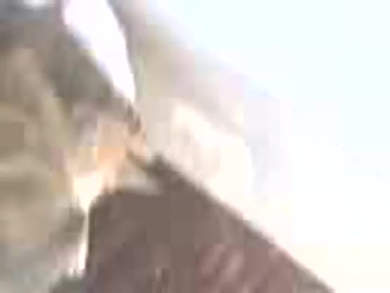 step brother and sister sex