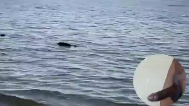 Cassandra my neighbors sister