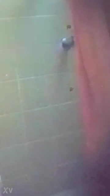 espiando a mi hermana