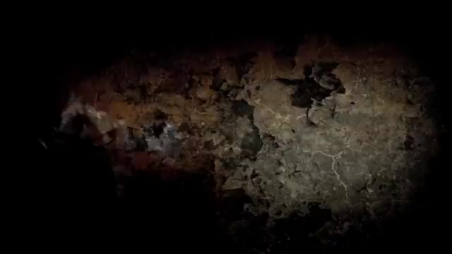 Vintage Family Peeping Tom