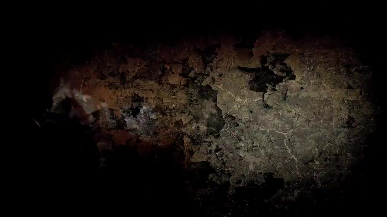 Vintage TABOO FAMILY