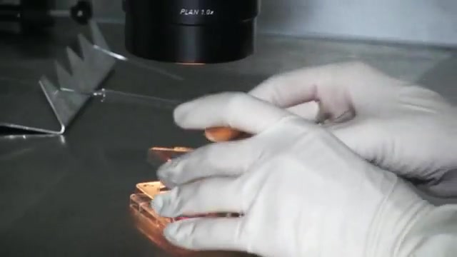 step Brother & Sister Try A Powerful Aphrodisiac