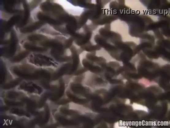 Esposa pega irma dando pro marido