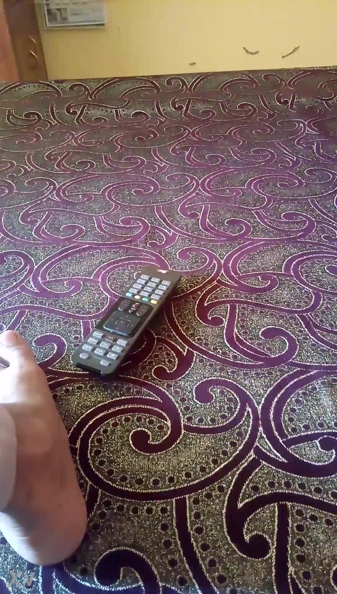 Small sister just TRI