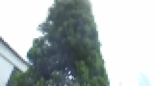 Japanese step mom shows off very hairy pussy all creampie soaked