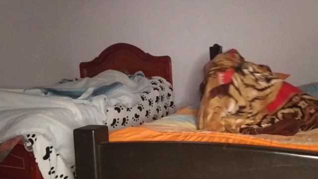 Sharing a room with my horny stepsister and she ends up fucking me in the middle of the night