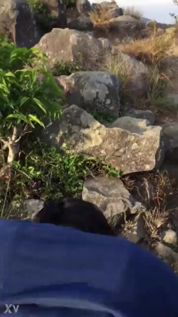 Fucking my step sister in mountain