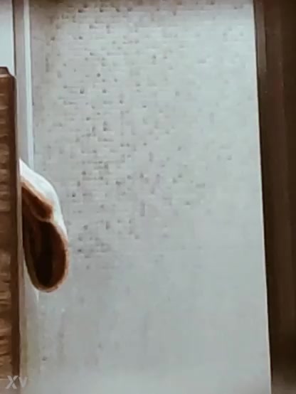 Irmão espiando sua irmã no banho