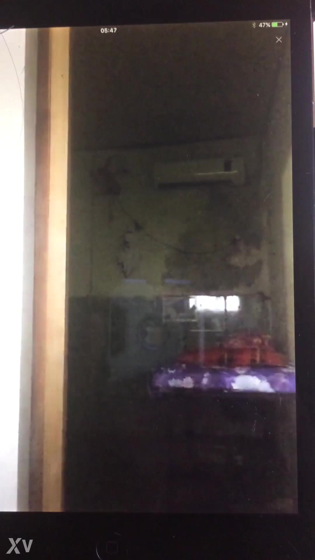 Em gái Bigo show hàn-24-06-2017